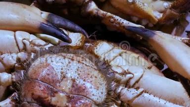 <strong>海鲜</strong>移动虾<strong>大</strong>龙虾和螃蟹在柜台市场，<strong>海鲜</strong>在市场拉利亚在巴塞罗那